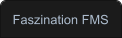 Faszination FMS