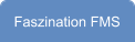 Faszination FMS